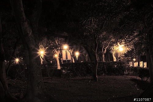 新手拍夜景，東海大學一角。