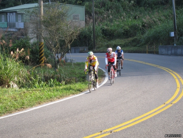 阿里山路況最新報導