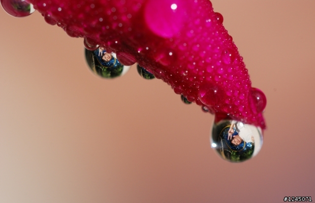 [試拍] 奈米神鏡 105mm F2.8 VR Micro