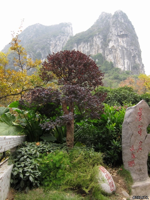 [CANON S90 試拍] 桂林 圖多