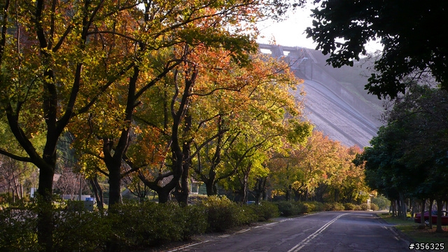 [遊記] 楓紅了....石門水庫單車賞楓探路行