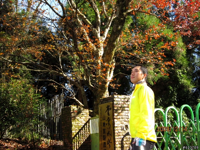 [分享]楓情萬種~清境---武嶺~2009-12-14