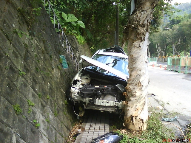 至善路卡在路樹與牆壁中間的馬3