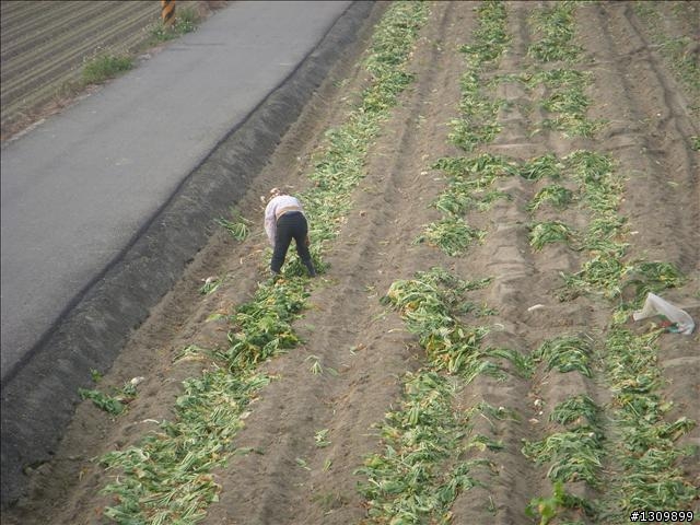 今年最終賽事，2009前進南都100K自行車挑戰賽