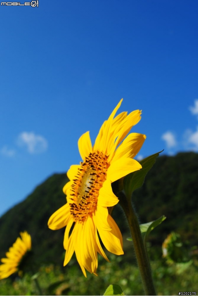 D3000小折車環島精選相片