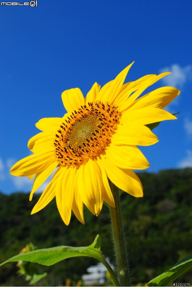 D3000小折車環島精選相片