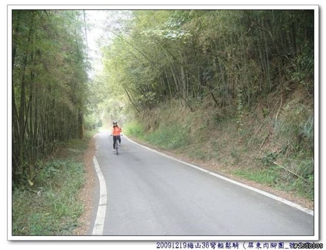 【遊記分享】嘉義梅山36彎+華山咖啡