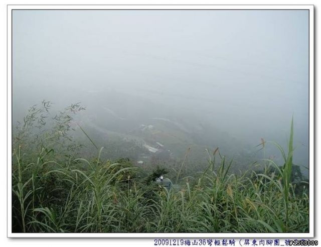 【遊記分享】嘉義梅山36彎+華山咖啡