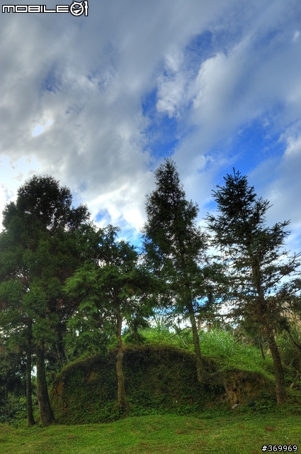 閒晃，東眼山。