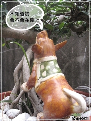 [偽廣告文]驚驚賣古董時間-被拋棄的阿告 (請大家幫忙鑑定一下)