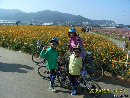 看新社花海不會塞車的路線,中正公園南坑巷-崑山-新社花海