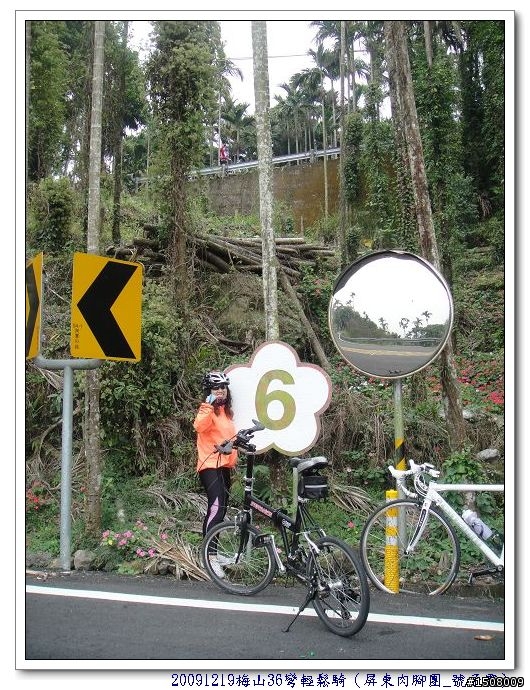【遊記分享】嘉義梅山36彎+華山咖啡