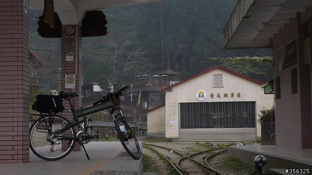 [遊記] 楓紅了part 3....2009阿里山-新中橫單車賞楓紀行