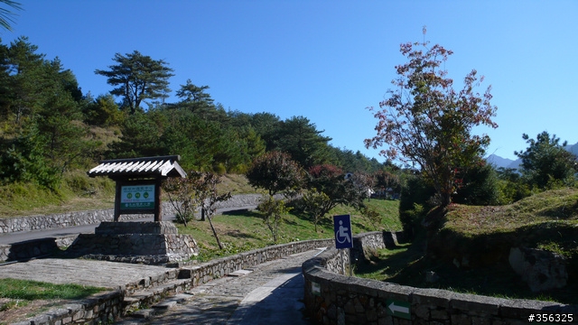 [遊記] 楓紅了part 3....2009阿里山-新中橫單車賞楓紀行