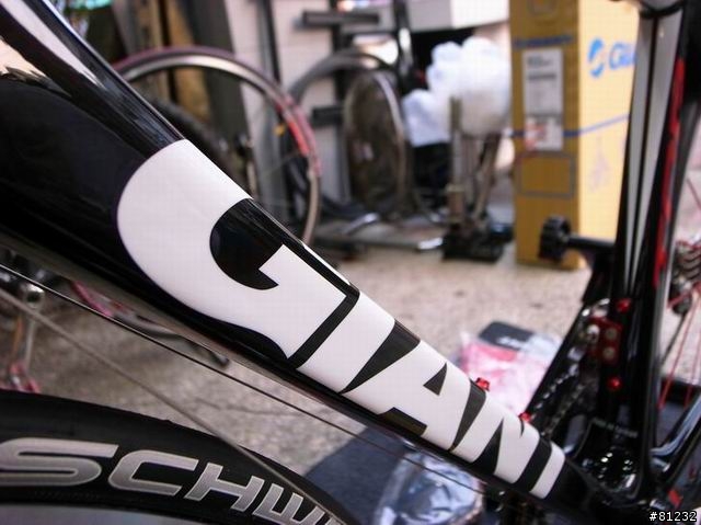 2010 TCR ADVANCED SL 1