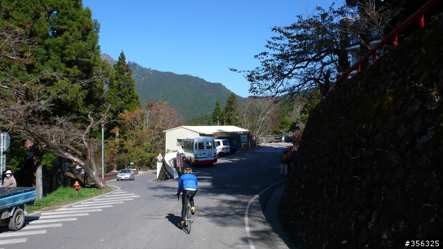 [遊記] 楓紅了part 3....2009阿里山-新中橫單車賞楓紀行