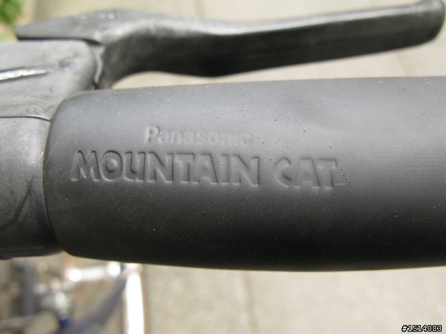 [分享] 上了年紀的 PANASONIC MOUNTAIN CAT 鋼管登山車