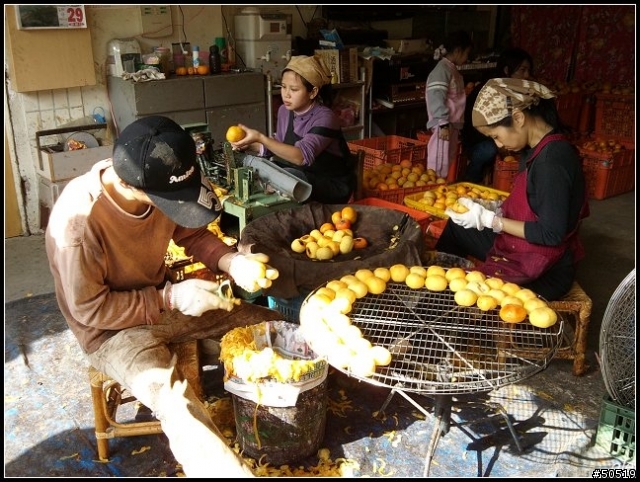 新埔-柿餅文化 _ C901