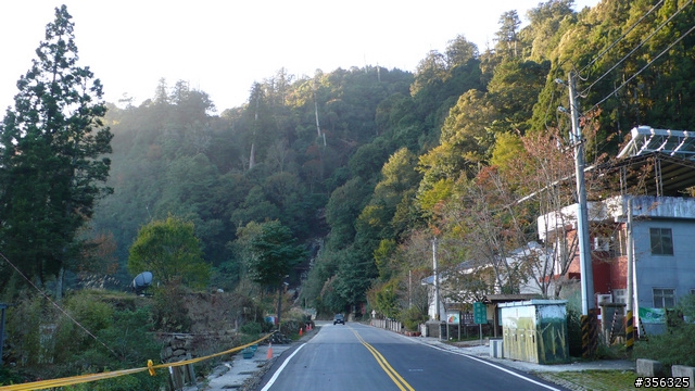 [遊記] 楓紅了part 3....2009阿里山-新中橫單車賞楓紀行