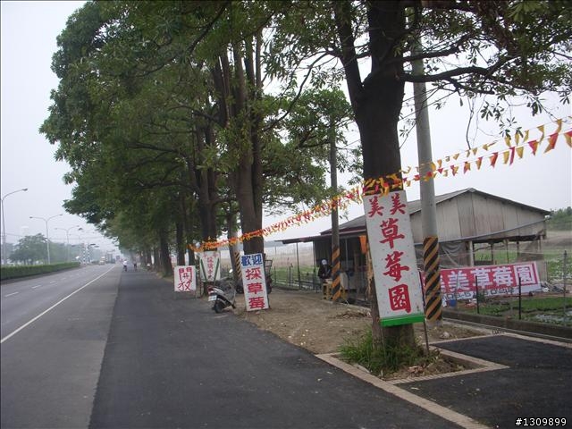 今年最終賽事，2009前進南都100K自行車挑戰賽