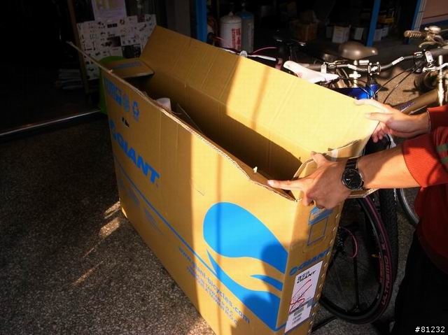 2010 TCR ADVANCED SL 1