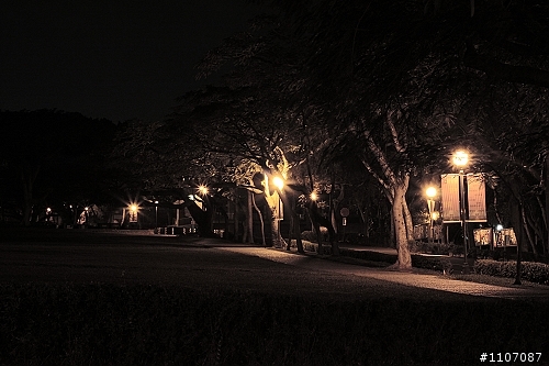 新手拍夜景，東海大學一角。