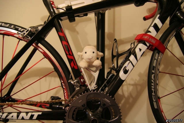 GIANT TCR SL1 辣咩登場!!