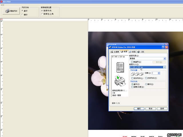 [091229] EPSON DIY 2010桌曆組