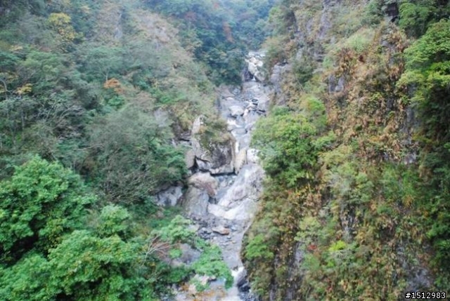 2009-12-20花蓮好棒武嶺賞雪記