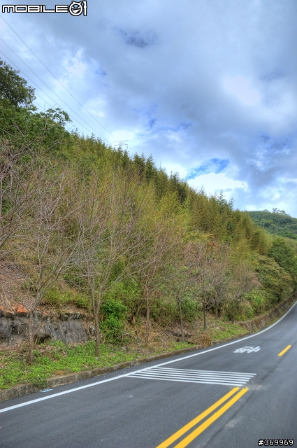 閒晃，東眼山。