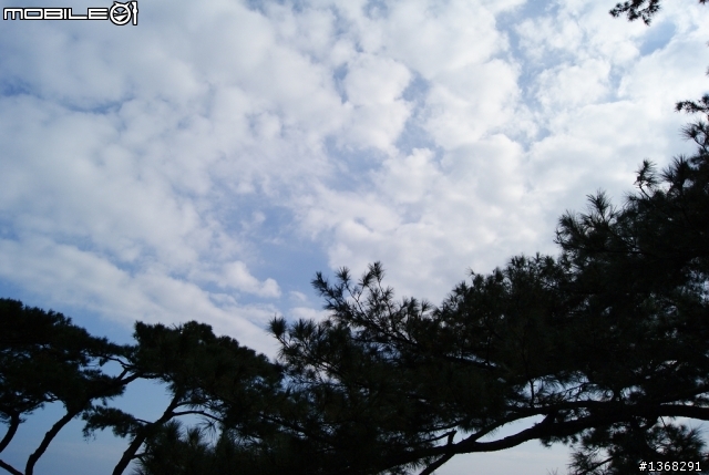 帶著棕色330花蓮一日遊去～