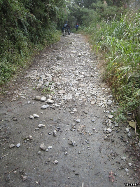 騎車、爬山兩相宜之郡大林道 (新增下坡影片)