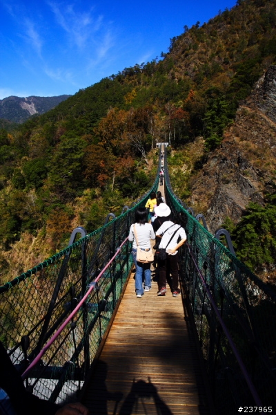 (員工旅遊)新社古堡+清境+奧萬大天梯