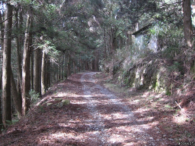 騎車、爬山兩相宜之郡大林道 (新增下坡影片)