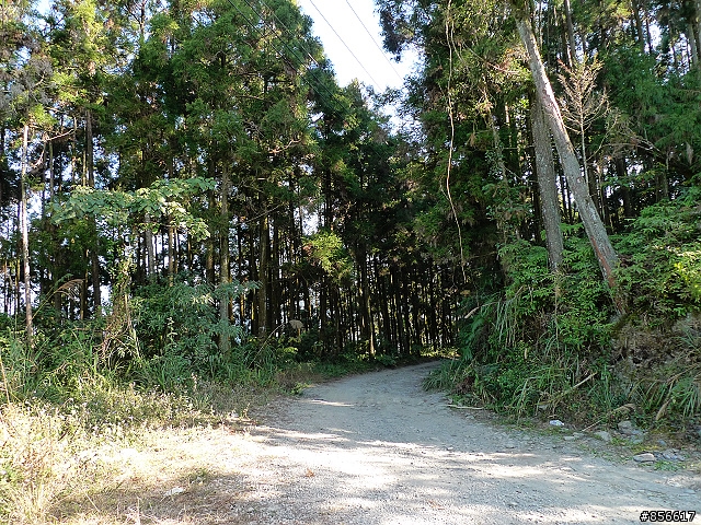 (分享)海放車隊 卓社林道逍遙遊~~
