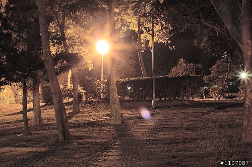 新手拍夜景，東海大學一角。