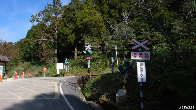 [遊記] 楓紅了part 3....2009阿里山-新中橫單車賞楓紀行