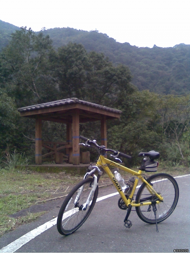 「母幹」閒晃烏來福山西羅岸~