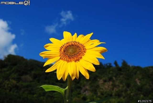 D3000小折車環島精選相片