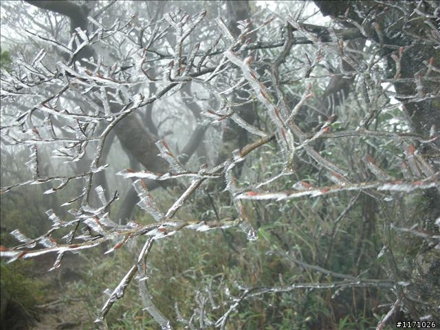 好康報你知—民國百年 北插天山霧淞饗宴開鑼了，手腳要快
