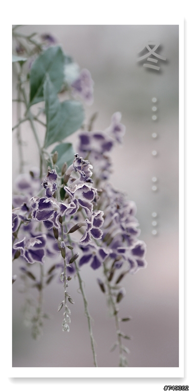 Tamron SP 90mm F2.8 Macro 入手隨意拍攝
