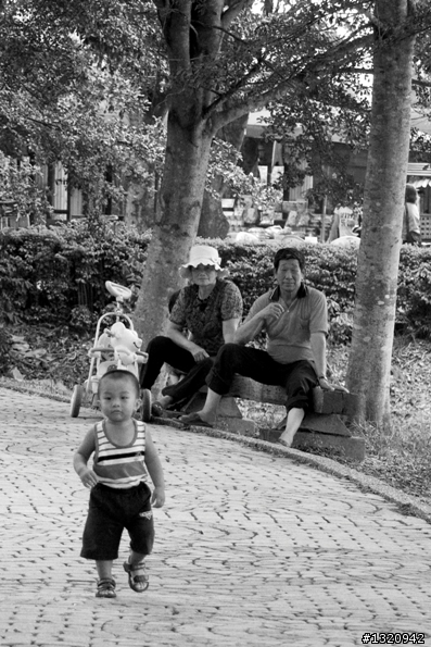 [請益]購入數位單眼半年之殘酷期末報告[圖多文少]