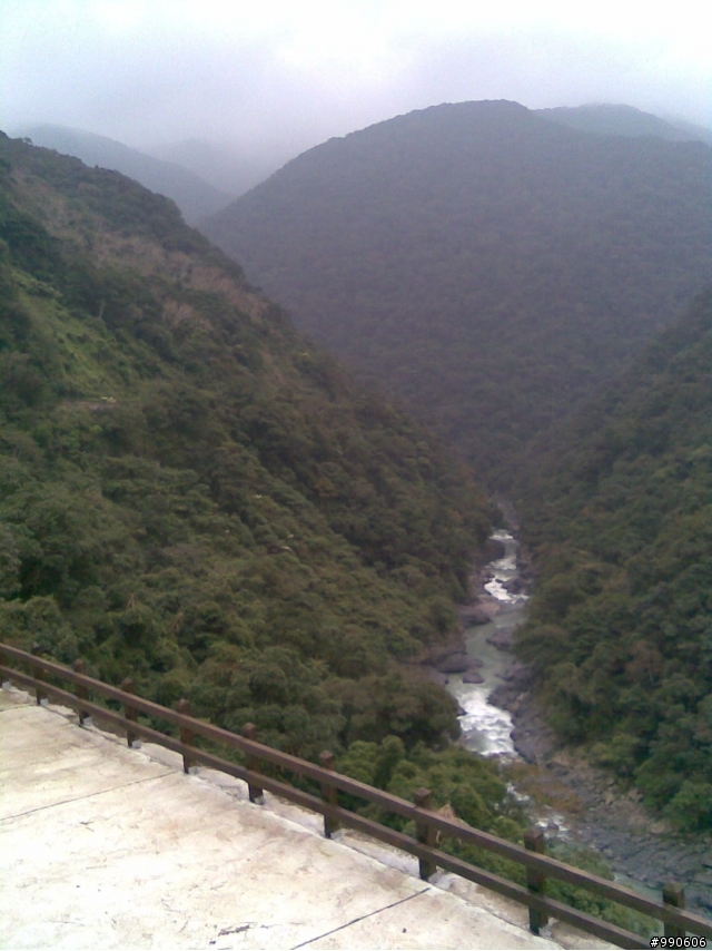 「母幹」閒晃烏來福山西羅岸~