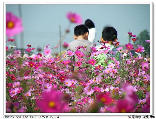 [分享]在寒冷的冬天中能做的三、兩事...