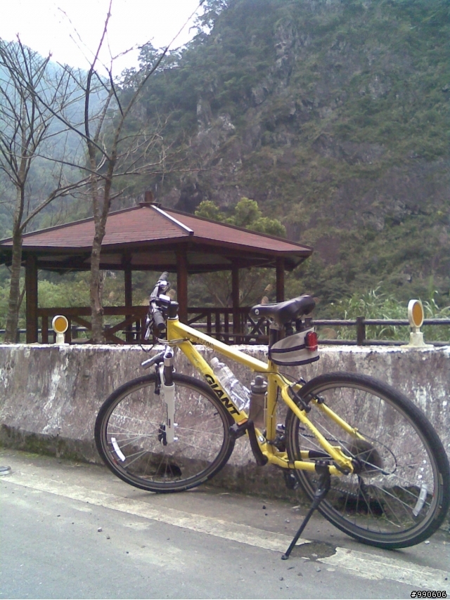 「母幹」閒晃烏來福山西羅岸~
