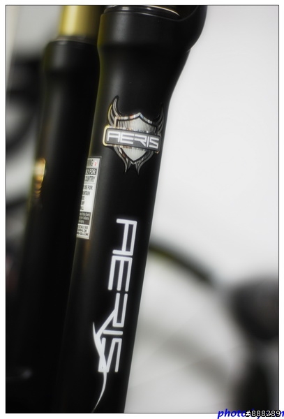 分享我的XC專用"SPINNER Aeris - 320-100 RLC"前叉