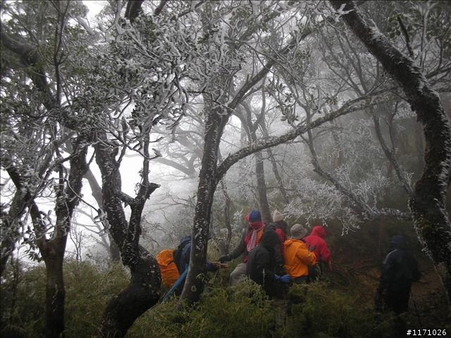好康報你知—民國百年 北插天山霧淞饗宴開鑼了，手腳要快