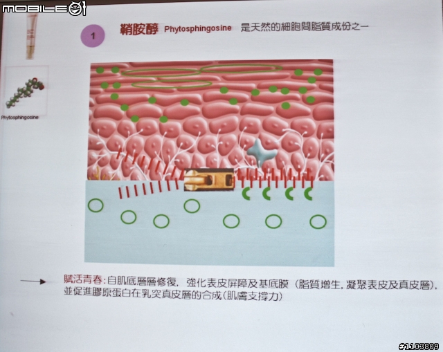 【採訪】克蘭詩肌本未來彈力系列新登場－真能讓細紋停留在未來?!