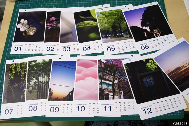[091229] EPSON DIY 2010桌曆組
