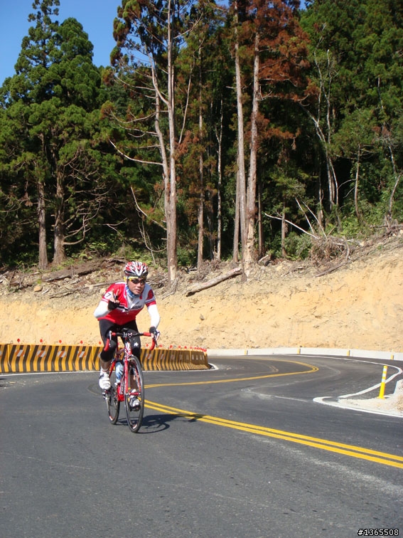 阿里山路況最新報導